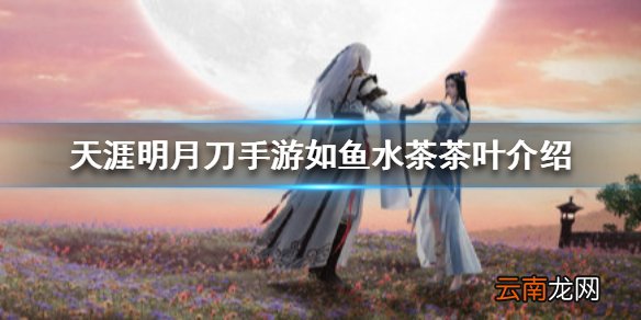 天涯明月刀手游如鱼水是什么茶 天涯明月刀手游如鱼水茶茶叶介绍