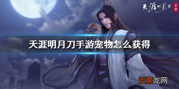 天涯明月刀手游宠物怎么获得 哈士奇宠物介绍