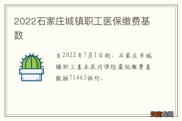 2022石家庄城镇职工医保缴费基数