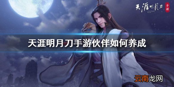 天涯明月刀手游伙伴如何养成 伙伴养成方法介绍