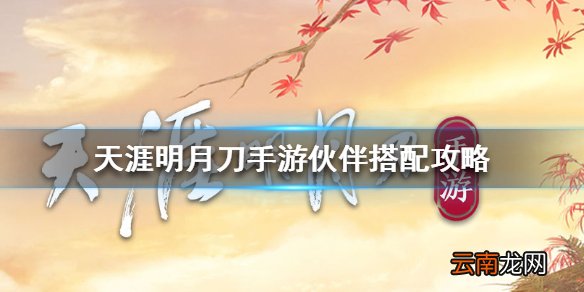 天涯明月刀手游伙伴搭配攻略 天涯明月刀手游伙伴怎么搭配