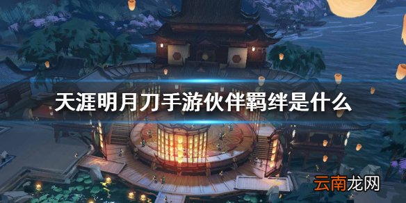 天涯明月刀手游伙伴羁绊是什么 伙伴羁绊介绍
