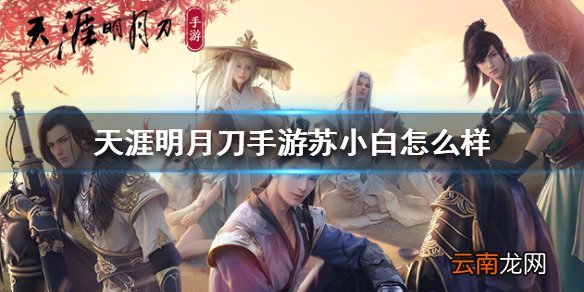 天涯明月刀手游苏小白怎么样 天涯明月刀手游伙伴苏小白技能介绍