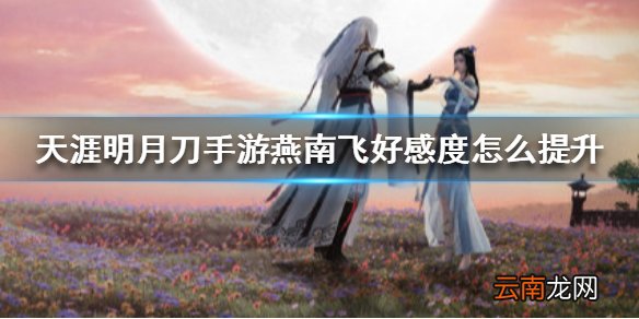 天涯明月刀手游燕南飞好感度怎么提升 天涯明月刀手游燕南飞好感度提升方法