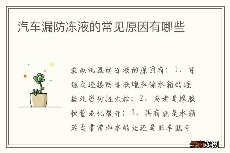 汽车漏防冻液的常见原因有哪些