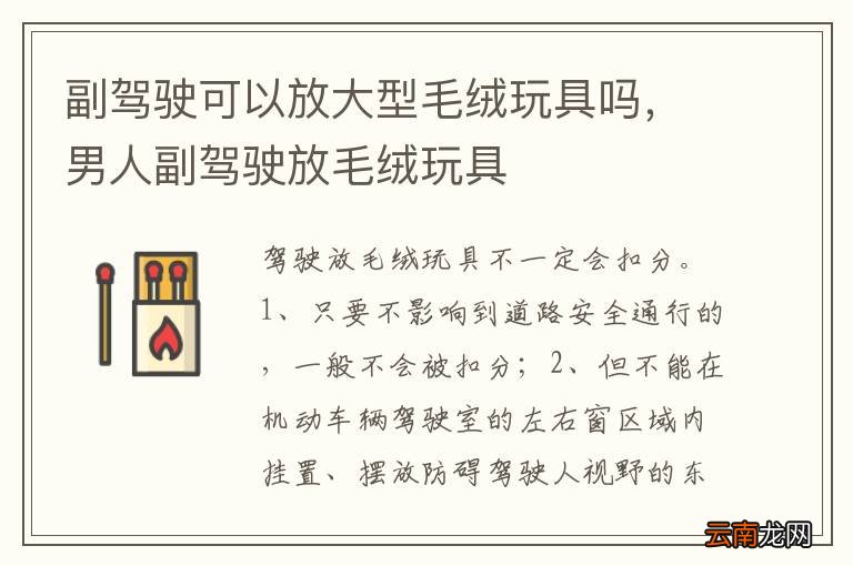 副驾驶可以放大型毛绒玩具吗，男人副驾驶放毛绒玩具