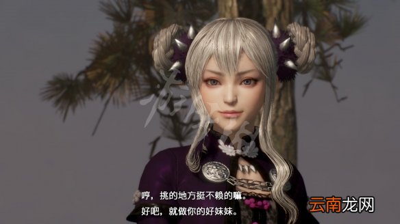 真三国无双8帝国袁术怎么使用 真三8帝国袁术战斗技巧心得