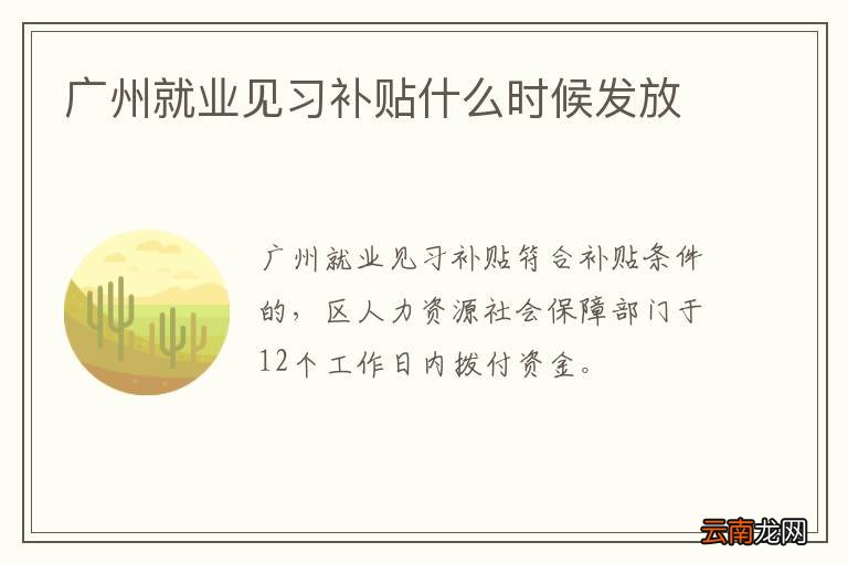广州就业见习补贴什么时候发放