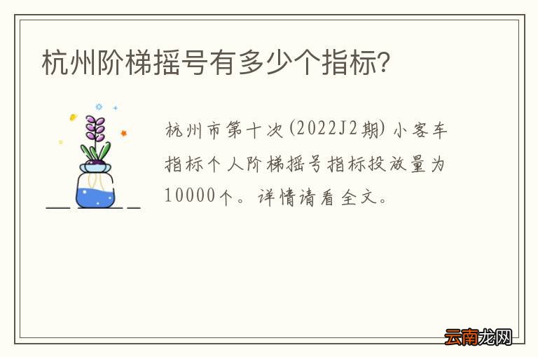 杭州阶梯摇号有多少个指标？
