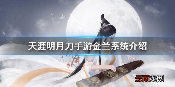 天涯明月刀手游金兰有什么用 天涯明月刀手游金兰最多几个人