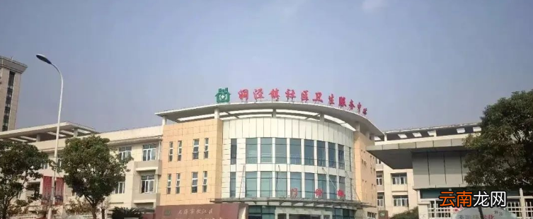 洞泾镇社区卫生服务中心可以办健康证吗