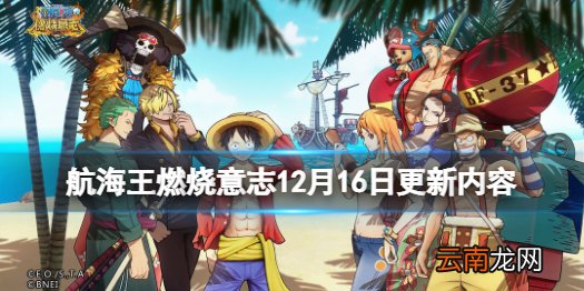 航海王燃烧意志12月16日更新内容 航海王燃烧意志阿菊新世界马尔高招募返场