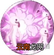 航海王燃烧意志新世界佩罗娜阵容怎么组 航海王燃烧意志新世界佩罗娜阵容推荐