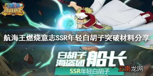 航海王燃烧意志年轻白胡子突破材料要什么 航海王燃烧意志SSR年轻白胡子突破材料分享