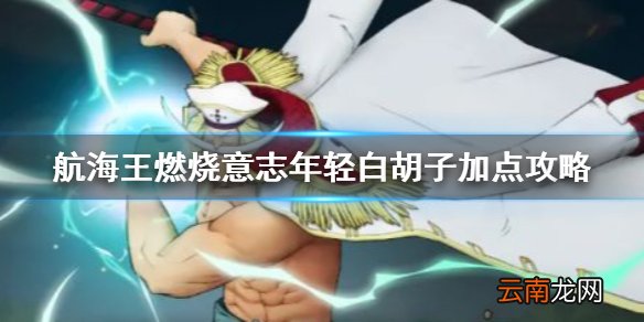 航海王燃烧意志年轻白胡子怎么加点 航海王燃烧意志年轻白胡子加点攻略
