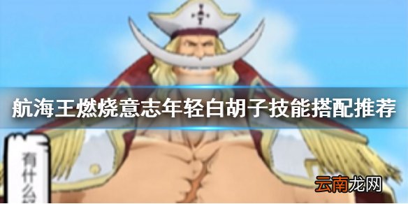 航海王燃烧意志年轻白胡子技能怎么搭配 航海王燃烧意志年轻白胡子技能搭配推荐