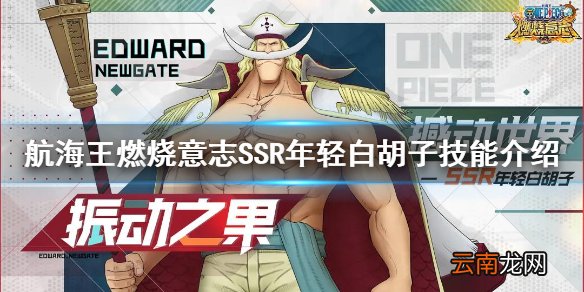 航海王燃烧意志年轻白胡子技能是什么 航海王燃烧意志SSR年轻白胡子技能介绍