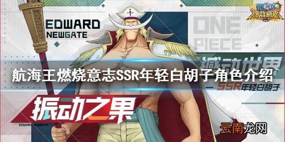 航海王燃烧意志年轻白胡子怎么样 航海王燃烧意志SSR年轻白胡子角色介绍