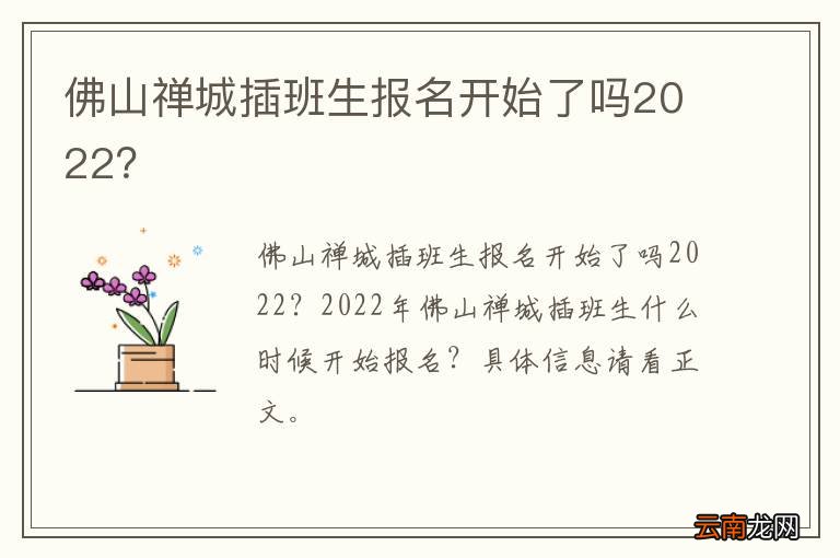 佛山禅城插班生报名开始了吗2022？