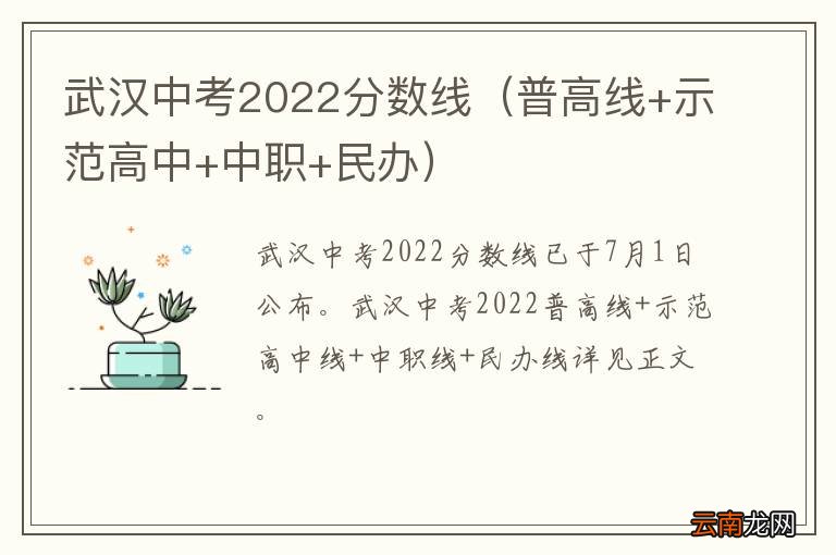 普高线+示范高中+中职+民办 武汉中考2022分数线