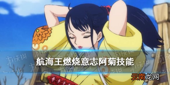 航海王燃烧意志阿菊技能 航海王燃烧意志SSR阿菊技能介绍