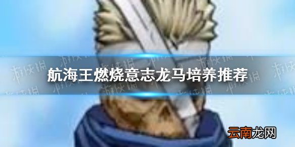 航海王燃烧意志龙马培养推荐哪些 航海王燃烧意志龙马培养推荐