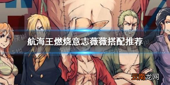 航海王燃烧意志薇薇搭配有哪些 航海王燃烧意志薇薇搭配推荐
