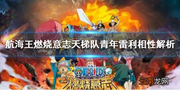 航海王燃烧意志天梯队青年雷利相性怎么样 航海王燃烧意志天梯队青年雷利相性解析