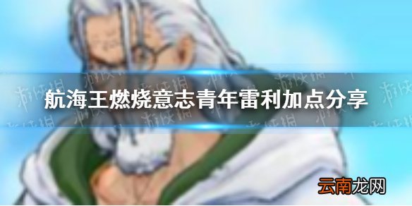 航海王燃烧意志青年雷利怎么加点 航海王燃烧意志青年雷利加点分享