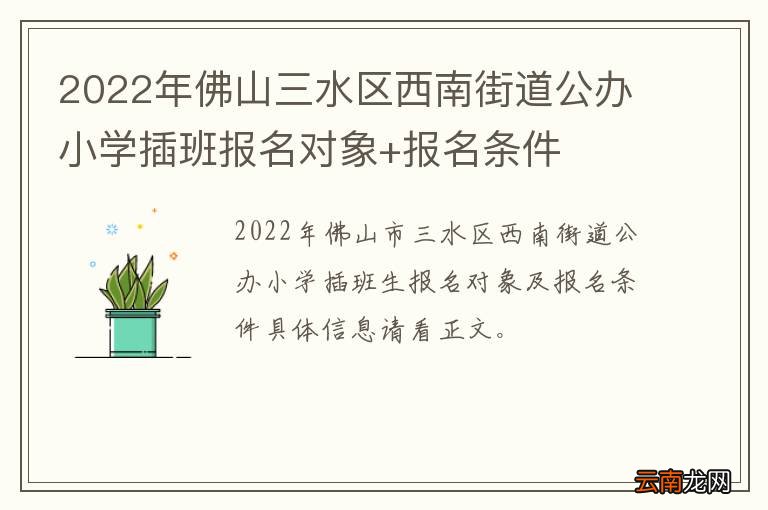 2022年佛山三水区西南街道公办小学插班报名对象+报名条件