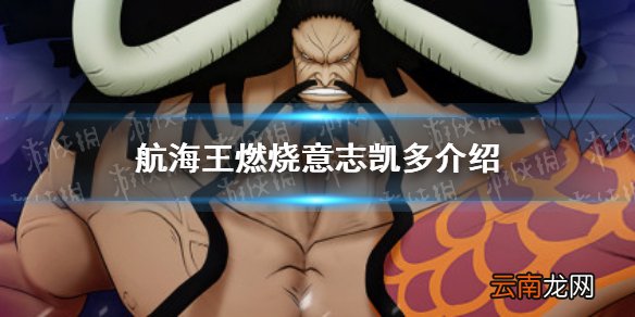 航海王燃烧意志凯多怎么样 航海王燃烧意志凯多介绍
