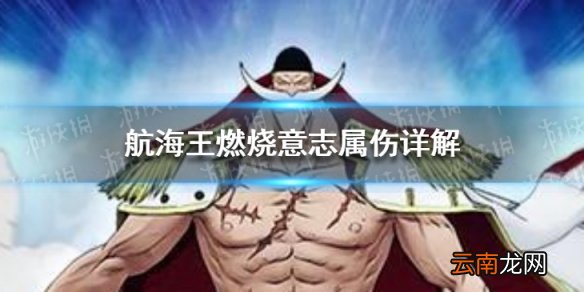 航海王燃烧意志属伤怎么样 航海王燃烧意志属伤详解