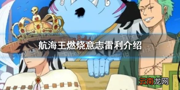 航海王燃烧意志雷利怎么样 航海王燃烧意志雷利介绍