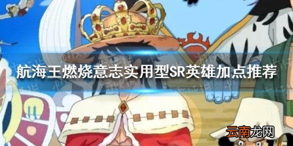 航海王燃烧意志实用型SR怎么加点 航海王SR英雄加点推荐