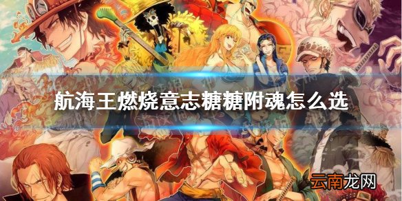 航海王燃烧意志糖糖附魂怎么选 航海王燃烧意志糖糖附魂推荐