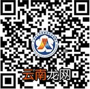 广州职工养老保险缴费查询在广东人社APP怎么弄?