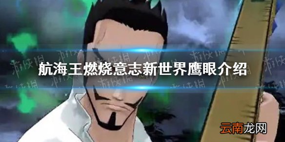 航海王燃烧意志新世界鹰眼技能怎么样 航海王燃烧意志新世界鹰眼介绍