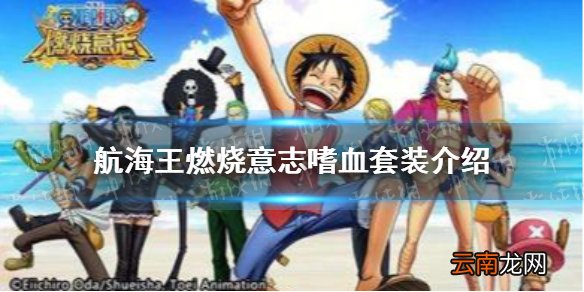 航海王燃烧意志嗜血套装怎么样 航海王燃烧意志嗜血套装介绍