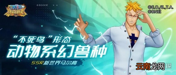 航海王燃烧意志新世界马尔高怎么样 航海王燃烧意志新世界马尔高介绍