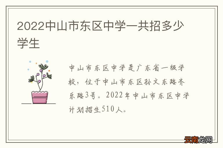 2022中山市东区中学一共招多少学生