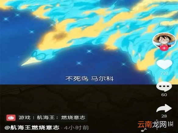 航海王燃烧意志新限定是谁 航海王燃烧意志新马尔高限定猜想
