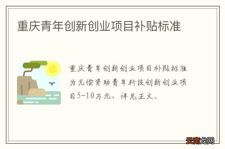 重庆青年创新创业项目补贴标准
