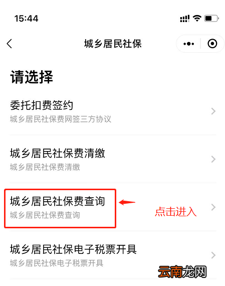 粤税通怎么查广州城乡居民养老保险缴费明细?