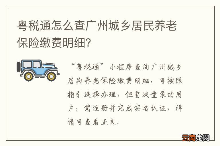 粤税通怎么查广州城乡居民养老保险缴费明细?