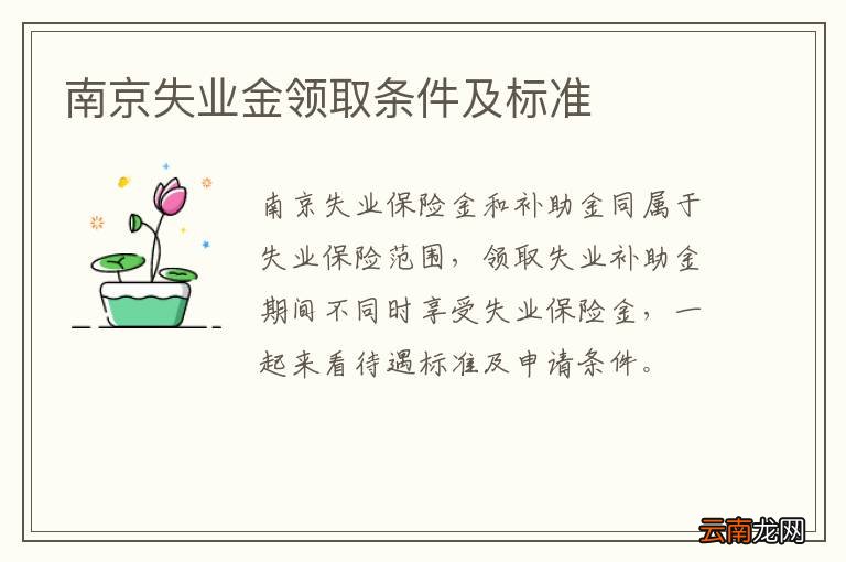 南京失业金领取条件及标准