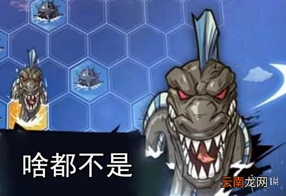航海王燃烧意志新春活动有哪些 航海王燃烧意志新春活动大全指南