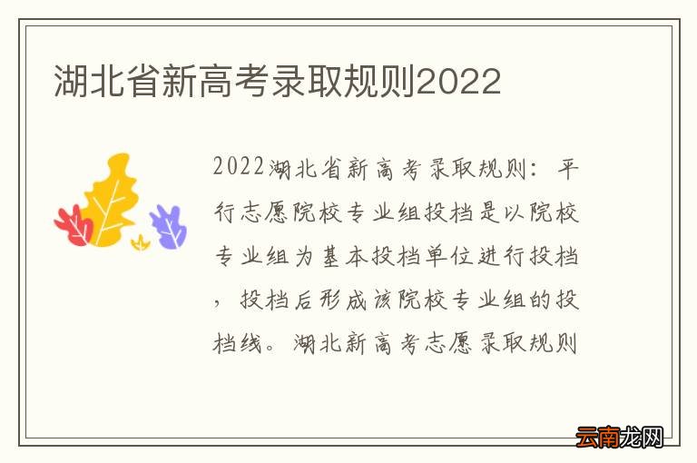 湖北省新高考录取规则2022