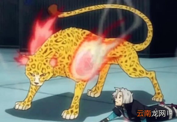 航海王燃烧意志新限定是谁 航海王燃烧意志新世界路飞限定猜想