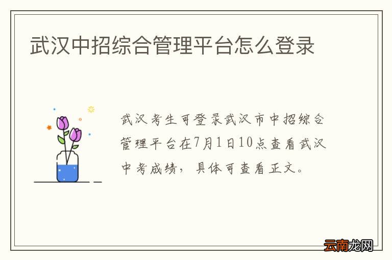 武汉中招综合管理平台怎么登录