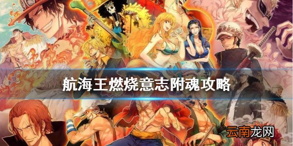 航海王燃烧意志附魂攻略 航海王燃烧意志附魂属性怎么选